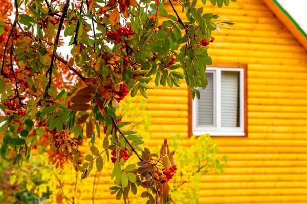 Garden Window Replacement in Fort Myers